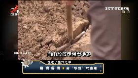 文 盜墓大揭密1800