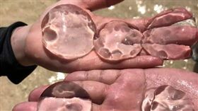 海邊出現大批「果凍水母」。（圖／翻攝自爆廢公社）