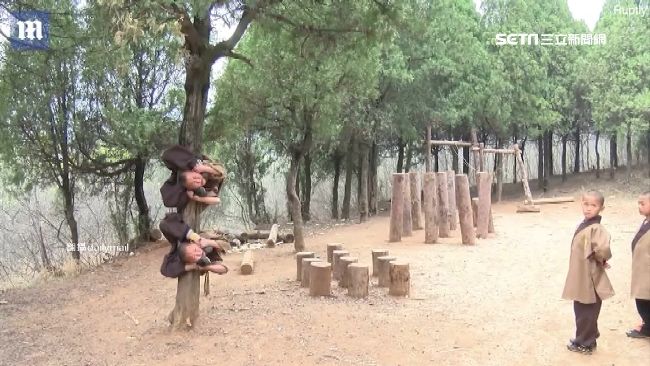 小武僧違反人體工學　捲樹幹超軟Q