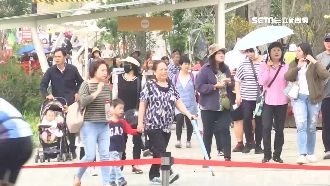 閉幕前最終連假！衝一波花博童馬樂