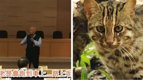 石虎太多才被撞！苗栗議員韓茂賢再出狂言 合成圖／翻攝自臉書、資料照