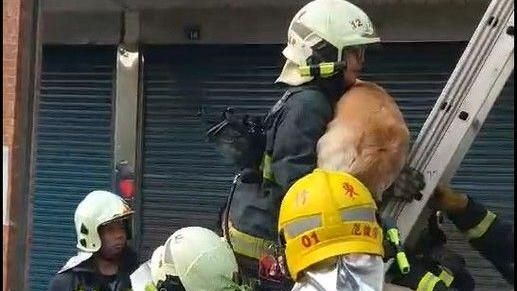 「先救牠再救我」！一把火燒出真情！