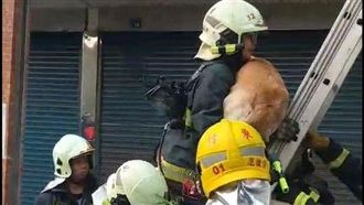 「先救牠再救我」！一把火燒出真情！