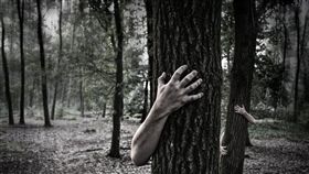 掃墓、重喪／翻攝自pixabay