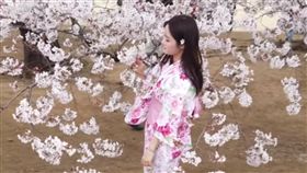 拍照,櫻花,手殘,東京,英國,賞櫻,變臉,感受,遊客,合照,攝影,正妹 圖／翻攝自YouTube