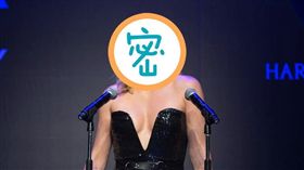  莎莉賽隆自曝單身10年。（圖／翻攝自莎莉塞隆臉書）