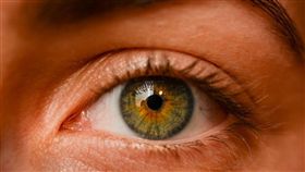 眼睛　圖／翻攝自pixabay