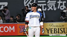 日本火腿「大王」王柏融。（資料照／記者王怡翔攝影）