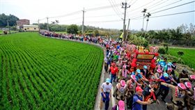 媽祖遶境　圖／翻攝自大甲鎮瀾宮臉書