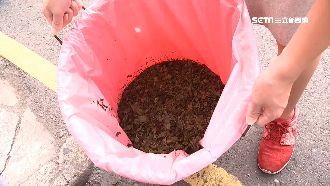 回收再製？怪男半夜竟偷飲料店茶渣桶