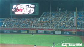 ▲中信兄弟相當多球迷到青埔球場看球。（圖／記者蕭保祥攝影）