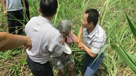 台南,歸仁,失智婦,公墓（圖／翻攝畫面）