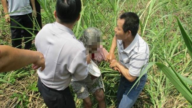 有人帶我來玩！老婦人倒臥公墓被尋獲