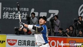 ▲王柏融在札幌巨蛋首次出賽。（圖／記者王怡翔攝影）