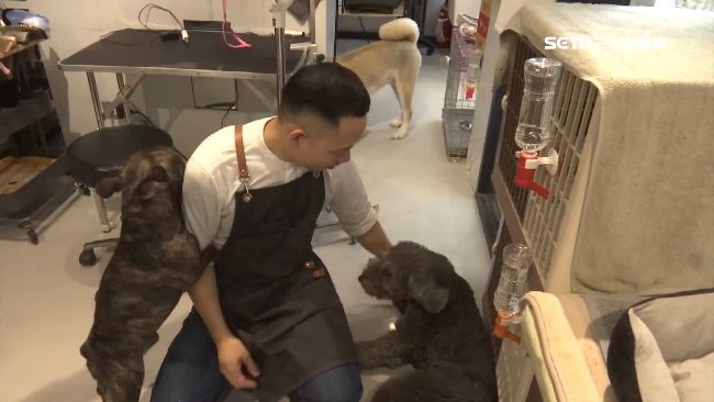 飼主沒說狗會咬人！美容師慘遭咬破相