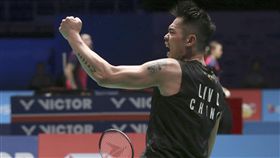 ▲林丹擊敗諶龍，拿下睽違2年的單打冠軍。（圖／美聯社／達志影像）