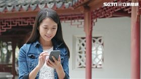 台灣之星,瘋媽祖,188,上網,大甲媽祖,發財金,遶境