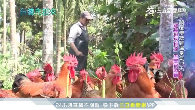 準碩士回家養雞！靠獨家滴雞精闖商機
