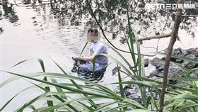 輕生,跳水,泥沼,新北,翻攝畫面