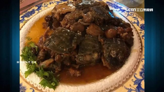喜宴料理驚見鱉！南部人：見怪不怪