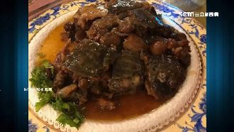 喜宴料理驚見鱉！南部人：見怪不怪
