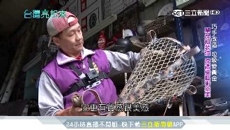 廢物變黃金！藝術結合環保創造新價值