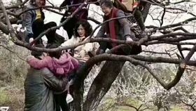 北京,公園,大陸,人臉辨識,遊客,衛生紙,不文明,爬樹（圖／翻攝微博）