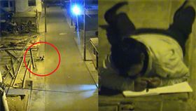 （圖／翻攝自YouTube）秘魯,路燈,讀書