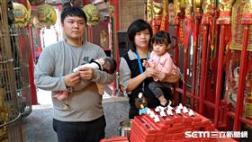  圖／廖先生授權提供
