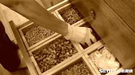 中藥、中醫示意圖／資料照