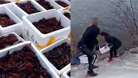 大陸男子放生小龍蝦／翻攝自梨視頻