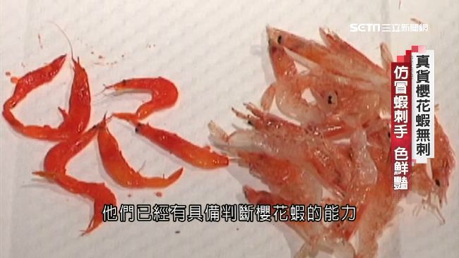 直擊染色蝦　混充高檔櫻花蝦牟暴利