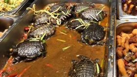 自助餐菜色是鱉　圖／翻攝自臉書「爆廢公社」