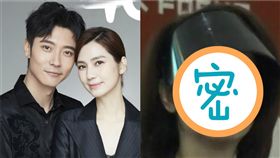  洪欣 張丹峰 (圖/微博)