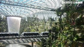 老田,新加坡,星耀樟宜,寶可夢中心,資生堂森林谷,室內瀑布,樟宜機場