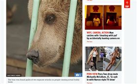 棕熊葉卡特里娜。（圖／翻攝自太陽報）