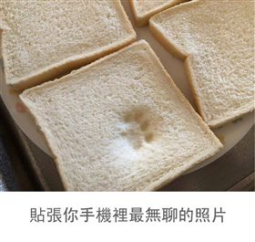 廢,無聊,蓋樓,加藤軍,番茄炒蛋,貓印吐司,照片