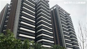 海洋都心,美麗新。（圖／記者蔡佩蓉攝影）