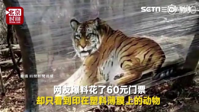 風景區不見老虎！全都「圖片」傻眼了