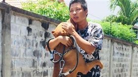泰國,狗狗與主人不離不棄（圖／翻攝自臉書）