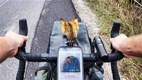 單車,壯遊,貓,喵星人,旅伴,蘇格蘭。翻攝自IG：1bike1world