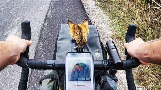 男騎單車壯遊　半途遇喵星人加入旅途