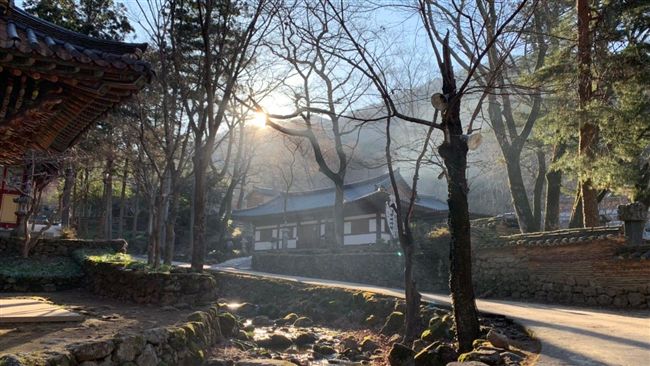 免剃度還可滑手機？韓國年輕人瘋出家