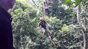鋼線,泰國,叢林飛索,斷裂,墜谷,加拿大,承重,脫落,猿猴,泰山　圖／翻攝自維基百科　https://parg.co/3mb