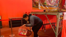 毛小孩稜轎腳　　圖／大甲鎮瀾宮提供　　