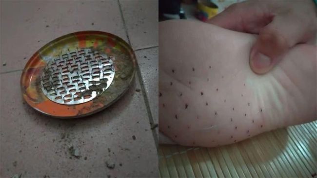 蚊香暗藏危機　他揭恐怖經歷網超有感