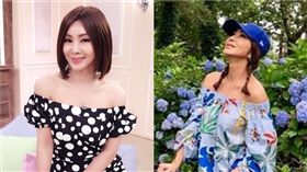 陳美鳳。（圖／陳美鳳臉書）