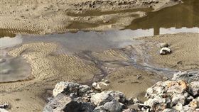 新竹,最毒海岸線,集塵灰,新豐海岸,環保局