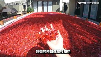 峇里島超浮誇住宿　浪漫玫瑰佈滿泳池