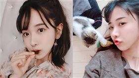 摺耳貓,企鵝妹／翻攝自企鵝妹IG